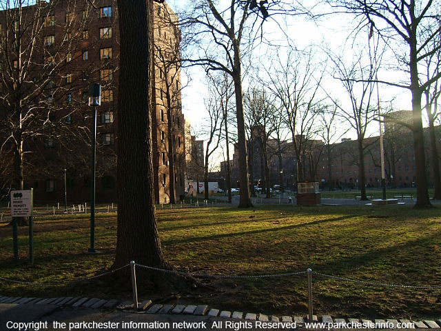 photo%20of%20Parkchester%20building%20with%20no%20leaves%20on%20trees%20in%20front