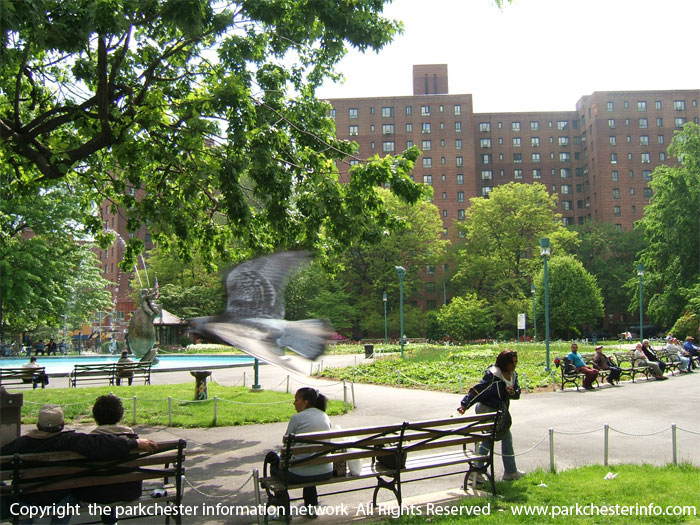 Parkchester%20Met%20Oval%20in%20the%20summer%20with%20bird%20flying%20mid%20air